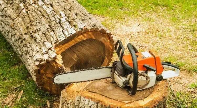 How to Store a Chainsaw so it Doesn't Leak Oil
