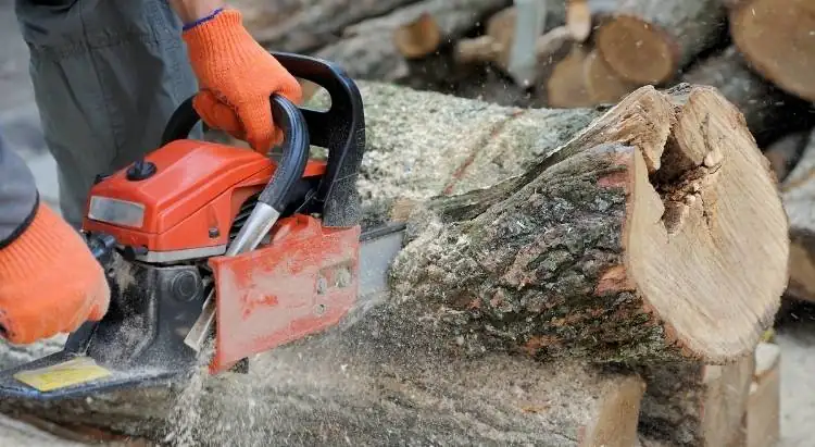 cutting old dried log with a chainsaw