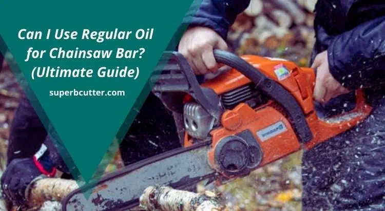 Can I Use Regular Oil for Chainsaw Bar (Ultimate Guide)