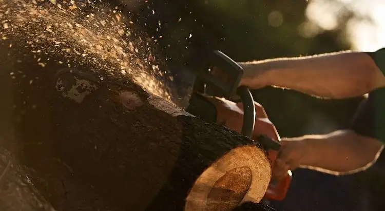 cutting with a chainsaw