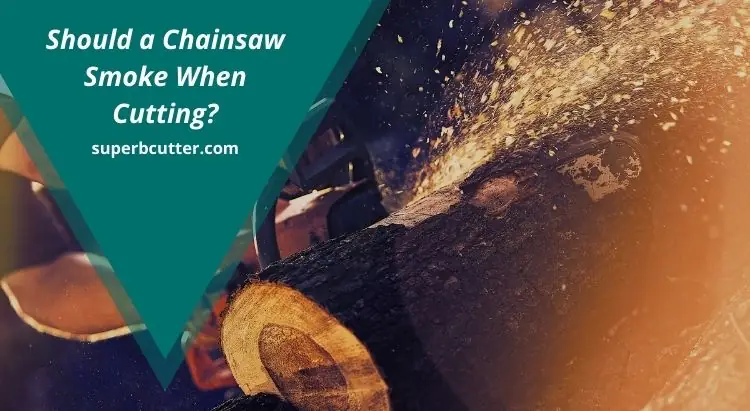 Should a Chainsaw Smoke When Cutting?