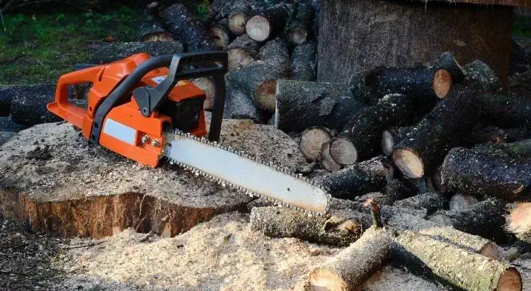 A strong chainsaw resting on a tree stump