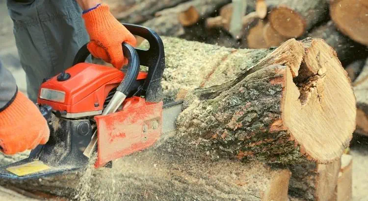 Can a Chainsaw Cut Through Dirt (2)