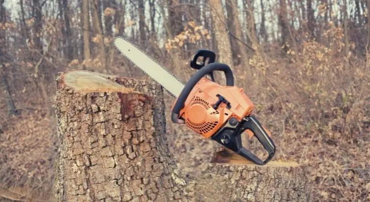 A mighty chainsaw resting on a tree stump