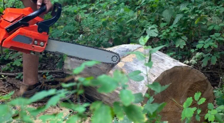 A powerful chainsaw with a long bar guide