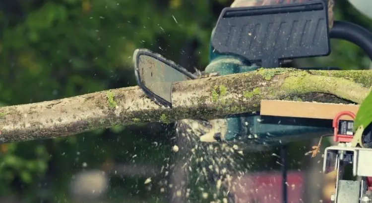 An electric chainsaw cutting through a tree branch