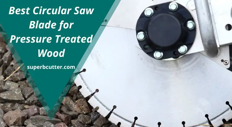 Top 5 Best Circular Saw Blade for Pressure Treated Wood