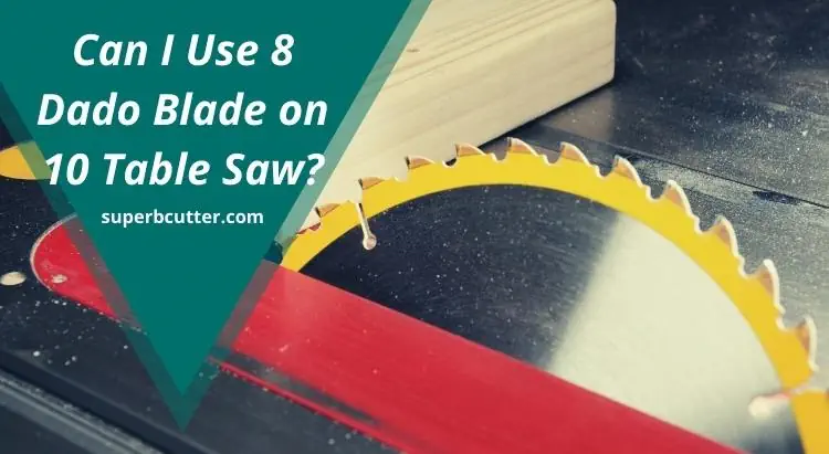 Can I Use 8 Dado Blade on 10 Table Saw?