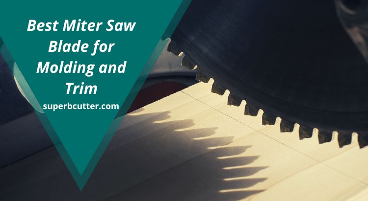 Best Miter Saw Blade for Molding and Trim