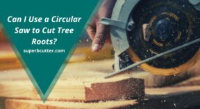 Can I Use a Circular Saw to Cut Tree Roots?