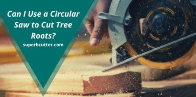 Can I Use a Circular Saw to Cut Tree Roots?