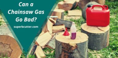 Can a Chainsaw Gas Go Bad? (Things You May Not Know)