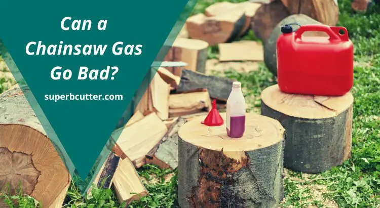 Can a Chainsaw Gas Go Bad?