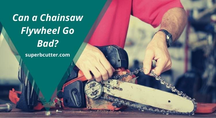 Can a Chainsaw Run Backwards?