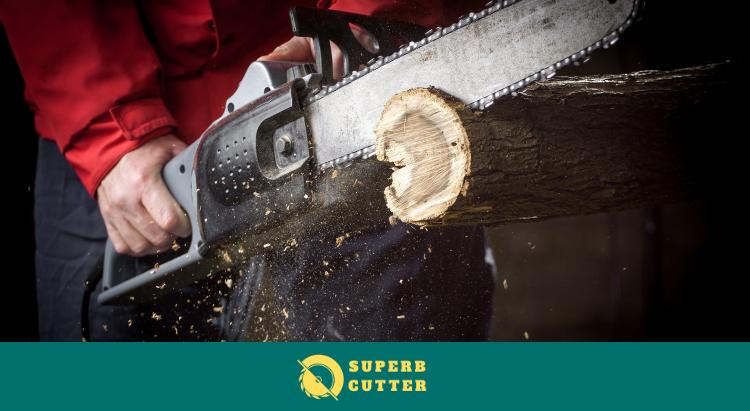 A powerful chainsaw blade cutting through the wood