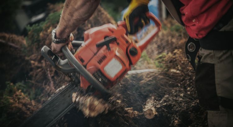 Stihl Chainsaw used for professional woodworking