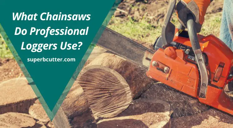 What Chainsaws Do Professional Loggers Use